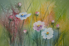 Cosmea-Aquarell-30x40cm