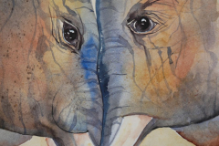 Elefanten-Aquarell-40x50cm