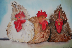 Huhner-3-Aquarell-30x40cm