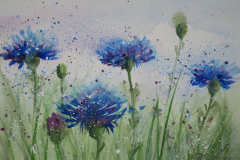 Kornblumen-2-Aquarell-20x30cm