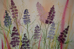 Lupinien-Aquarell-30x40cm