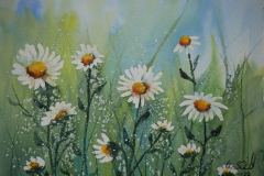 Margeritenwiese-2-Aquarell-30x40cm