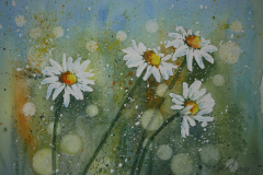 Margeritenwiese-3-Aquarell-30x40cm