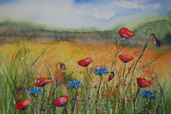 Mohn-Kornblumenwiese-Aquarell-30x40cm