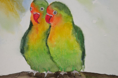 Pfirsichkopchen-Aquarell-30x40cm