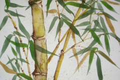 bambus_02