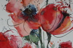 mohnblumen_rot_klein