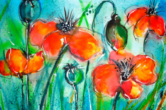 rote_mohnblumen_gross