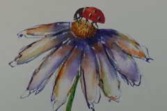 Marienkafer-2-bearbeitet