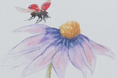 Marienkafer-bearbeitet