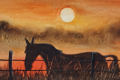 Pferd-Sonnenuntergang-bearbeitet