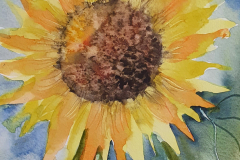 Sonnenblume-bearbeitet