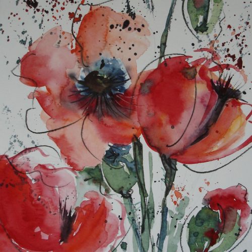 mohnblumen_rot_klein